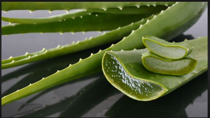 Aloe Free Daily Astringent