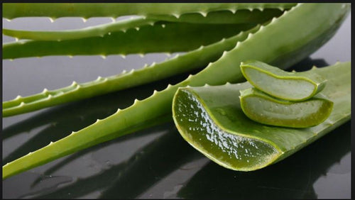 Aloe Free Daily Astringent